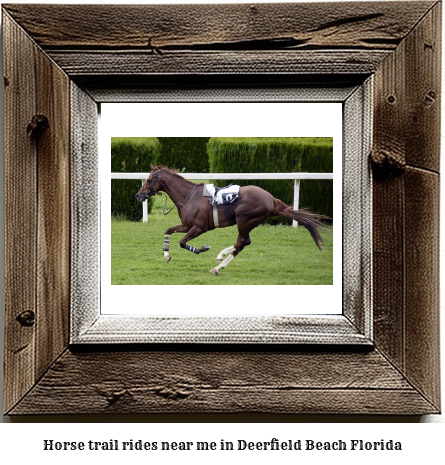 horse trail rides near me in Deerfield Beach, Florida